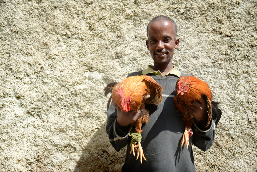 Harar